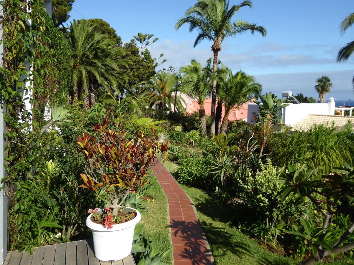 Villa Erika Madeira Canico  Bagian luar foto