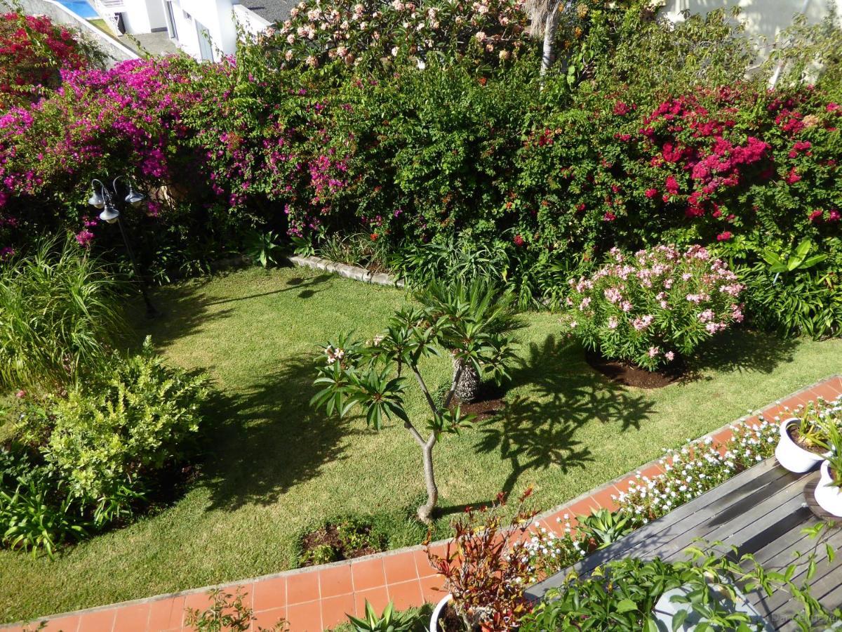 Villa Erika Madeira Canico  Bagian luar foto